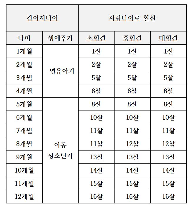  강아지 나이 계산기 확인