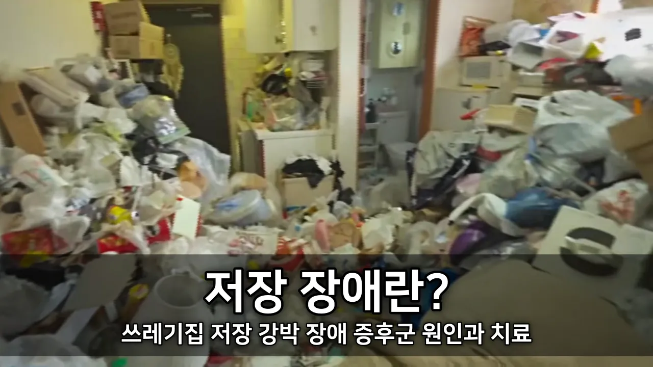 저장 장애란 - 쓰레기집 저장 강박 장애 증후군 원인과 치료 ⓒ KBS