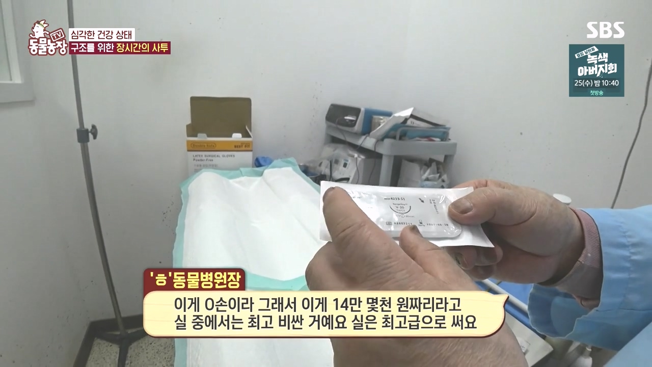 TV 동물농장.E1142.231023p-NEXT.mp4_20231022_173007.929.jpg