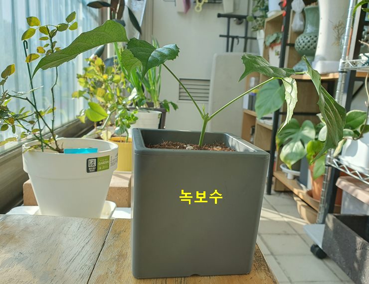 느림과 기다림의 가치 이해 효과