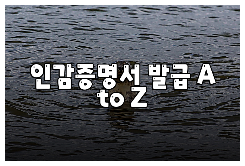 인감증명서 발급 A to Z