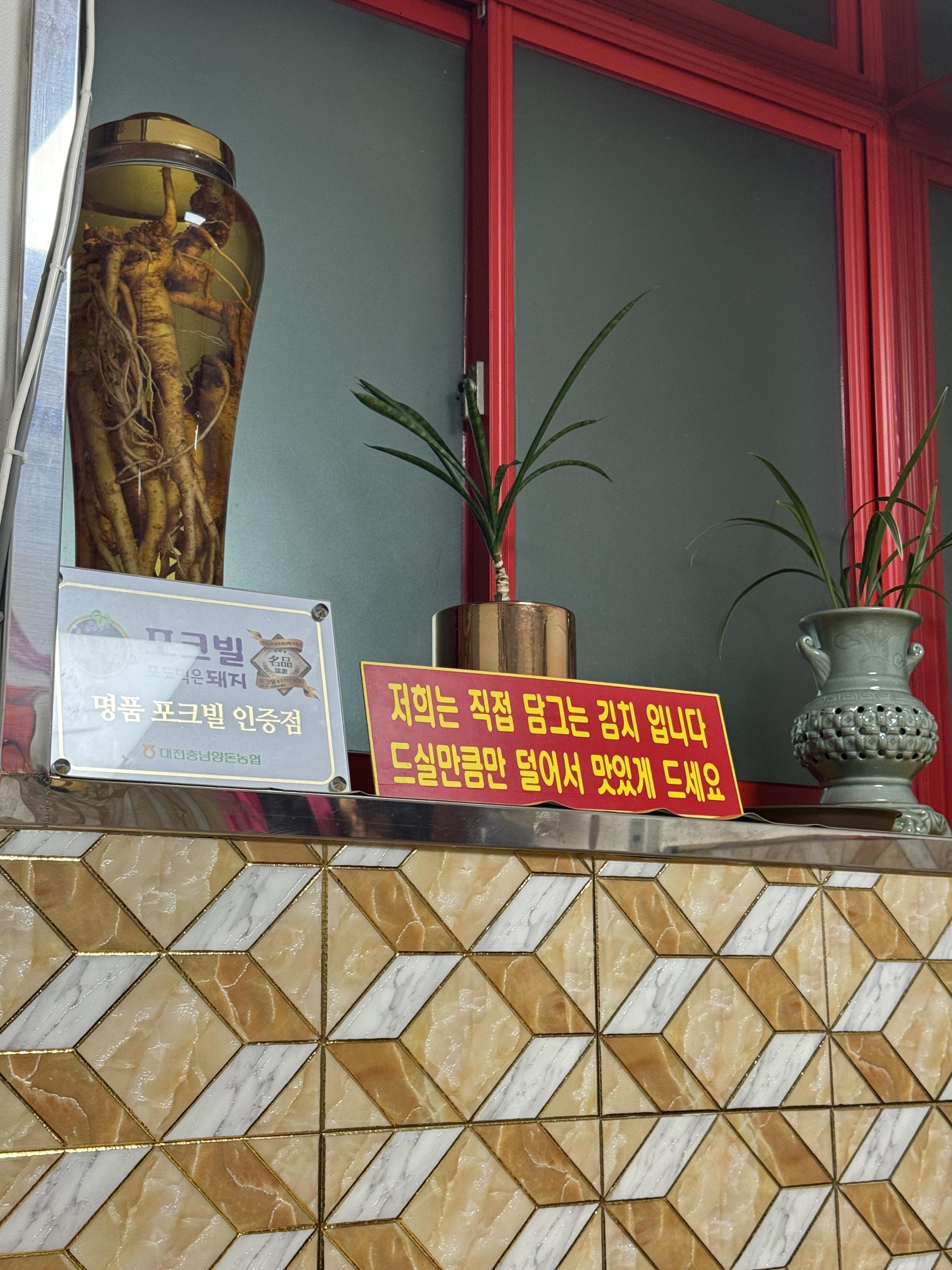 목화반점 이미지