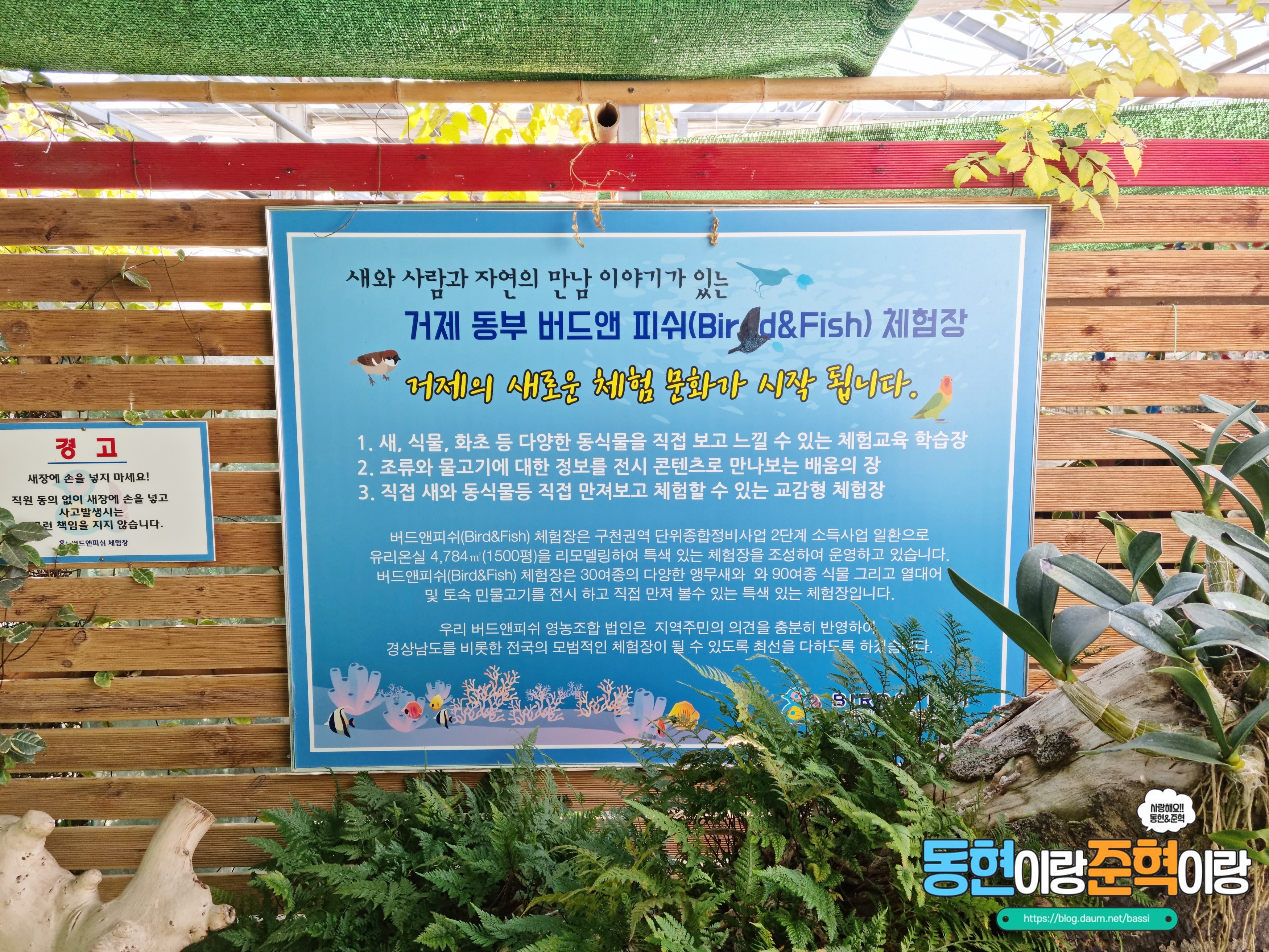 거제버드앤피쉬