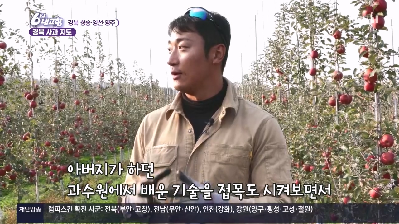 6시 내고향.E7907.231108p.H264-F1RST.mp4_20231108_204442.405.jpg