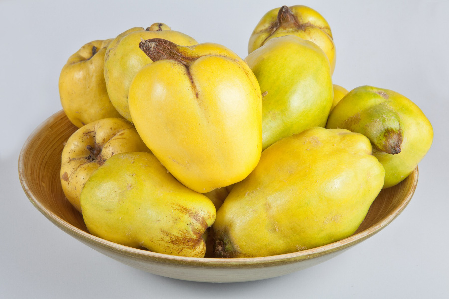 quince-1758170_900 야생에서 채취를 한 모과를 깨끗하게 세척을 한 후에 하얀 바닥 위에 동그란 접시를 두고 그 위에 노란 모과를 10여개 놓아두고 찍은 사진