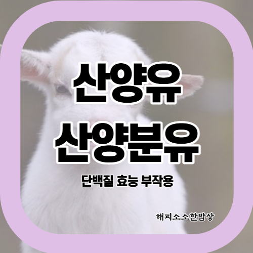  산양유 단백질과 산양분유는 염소우유 구분과 효능이 있는지?
