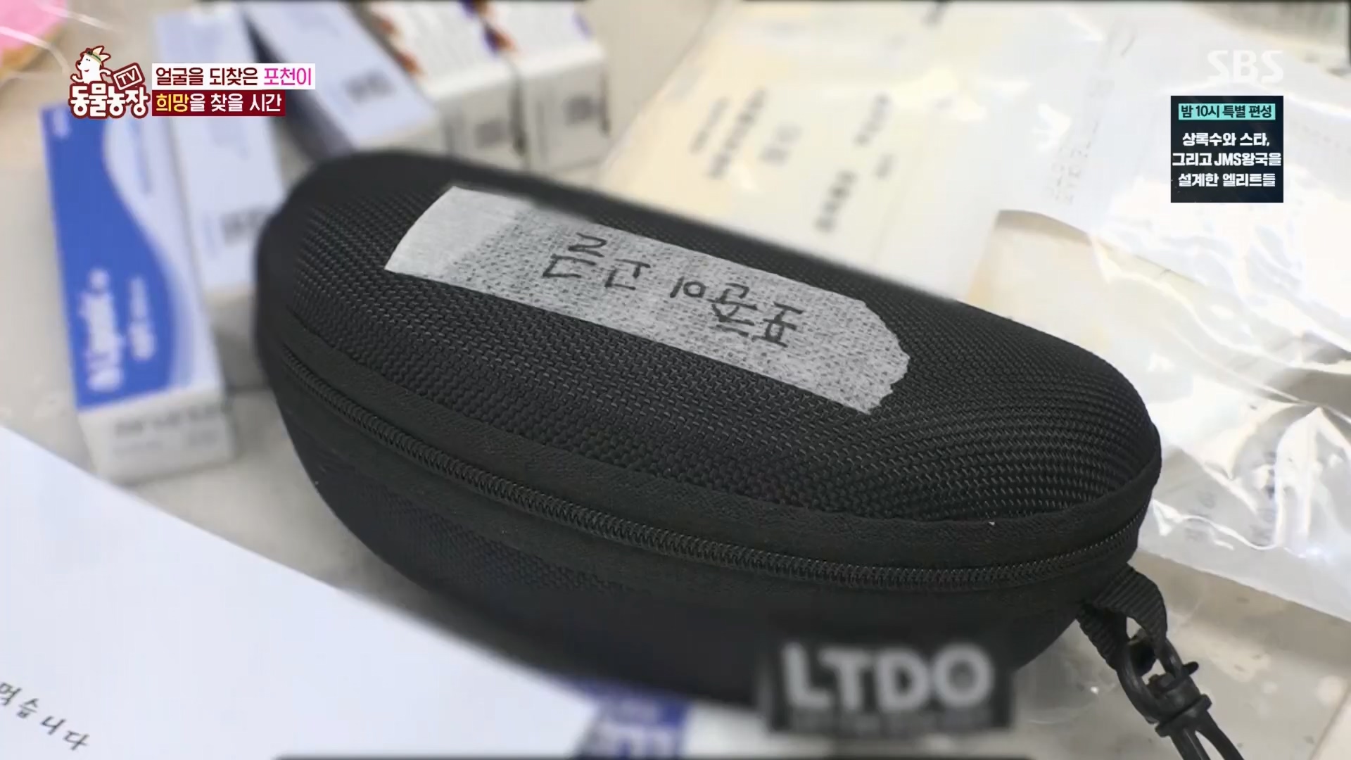 TV 동물농장.E1116.230416p.H264-F1RST.mp4_20230418_194216.783.jpg