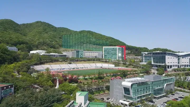 물리치료학과가 있는 대학