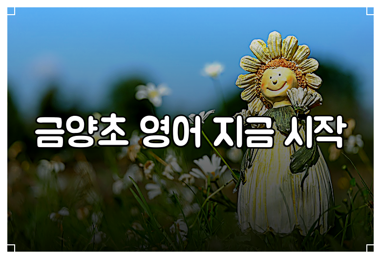 금양초 영어 지금 시작
