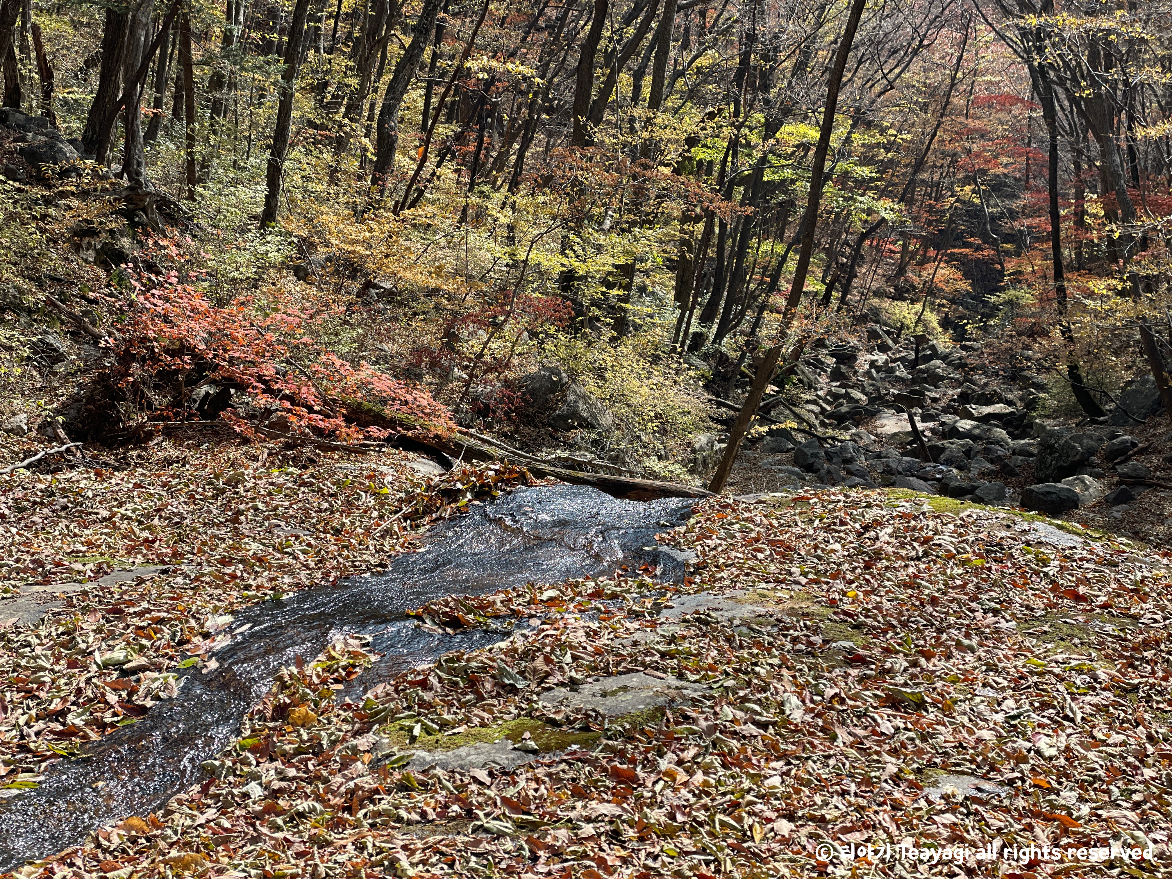 화엄사-지리산-등산코스-산책로-17