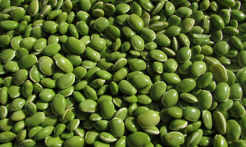 기억력을 향상시키는 음식 