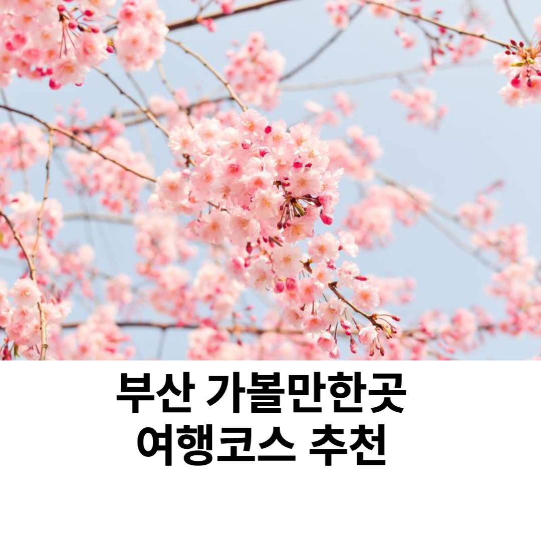  부산 가볼만한곳  여행코스 추천