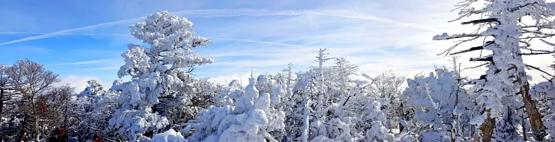 제주 한라산 설경 파노라마