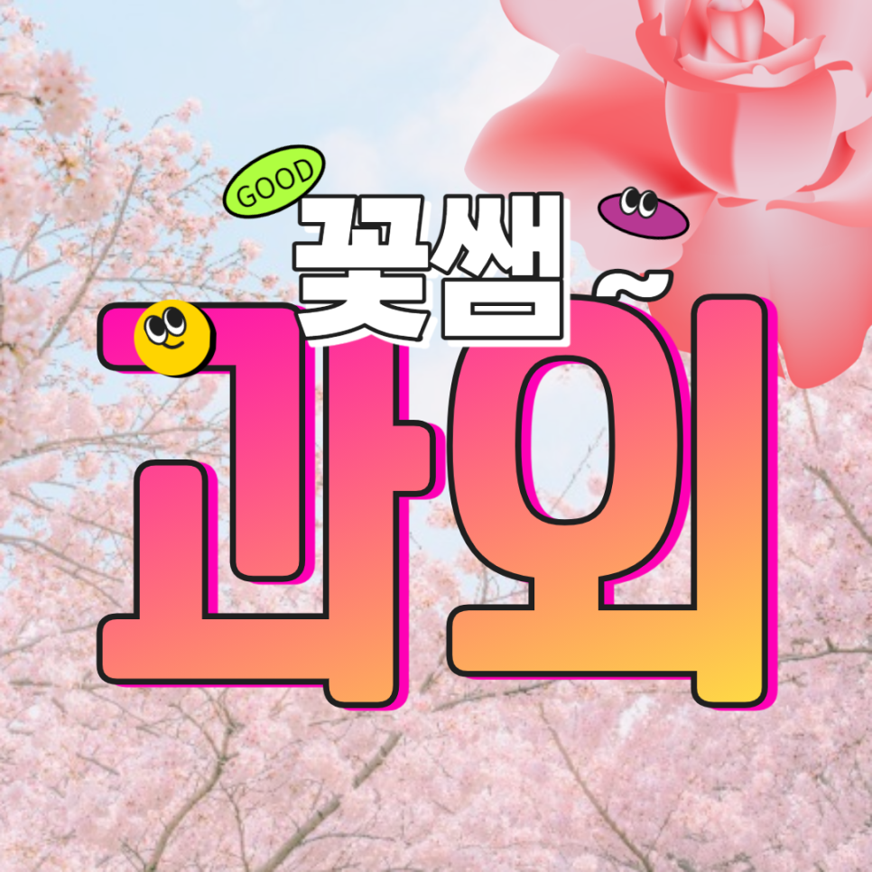  풍동 고3 고1 수학 학교별내신관리 교과서 부교재 영어과외