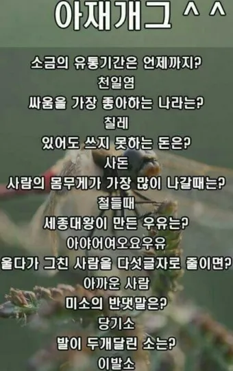 아재개그 모음 퀴즈 레전드 모음집 500선_12