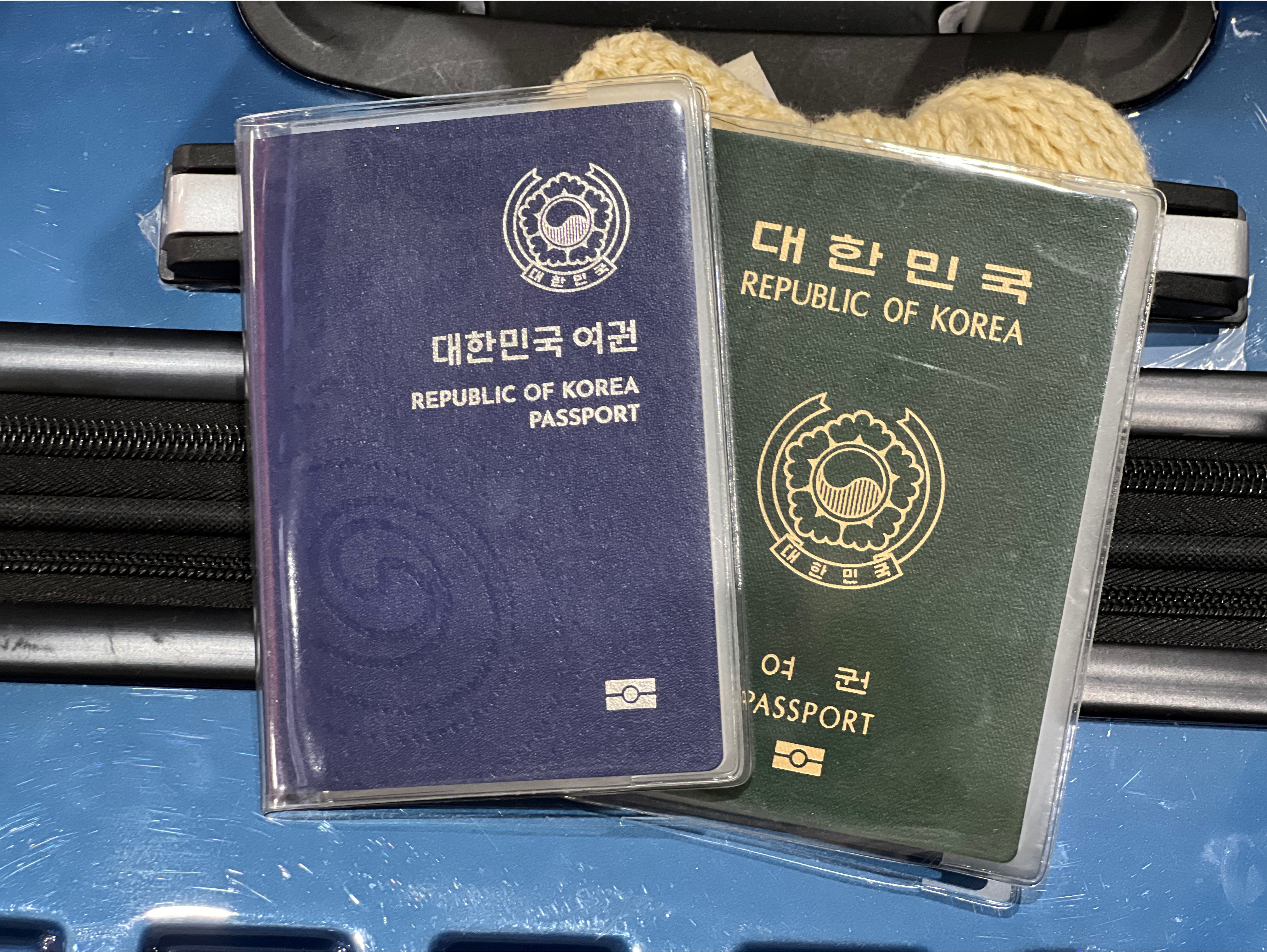  온라인 여권 재발급 (신청대상, 신청 방법, 발급 기간, 여권 재발급 비용)
