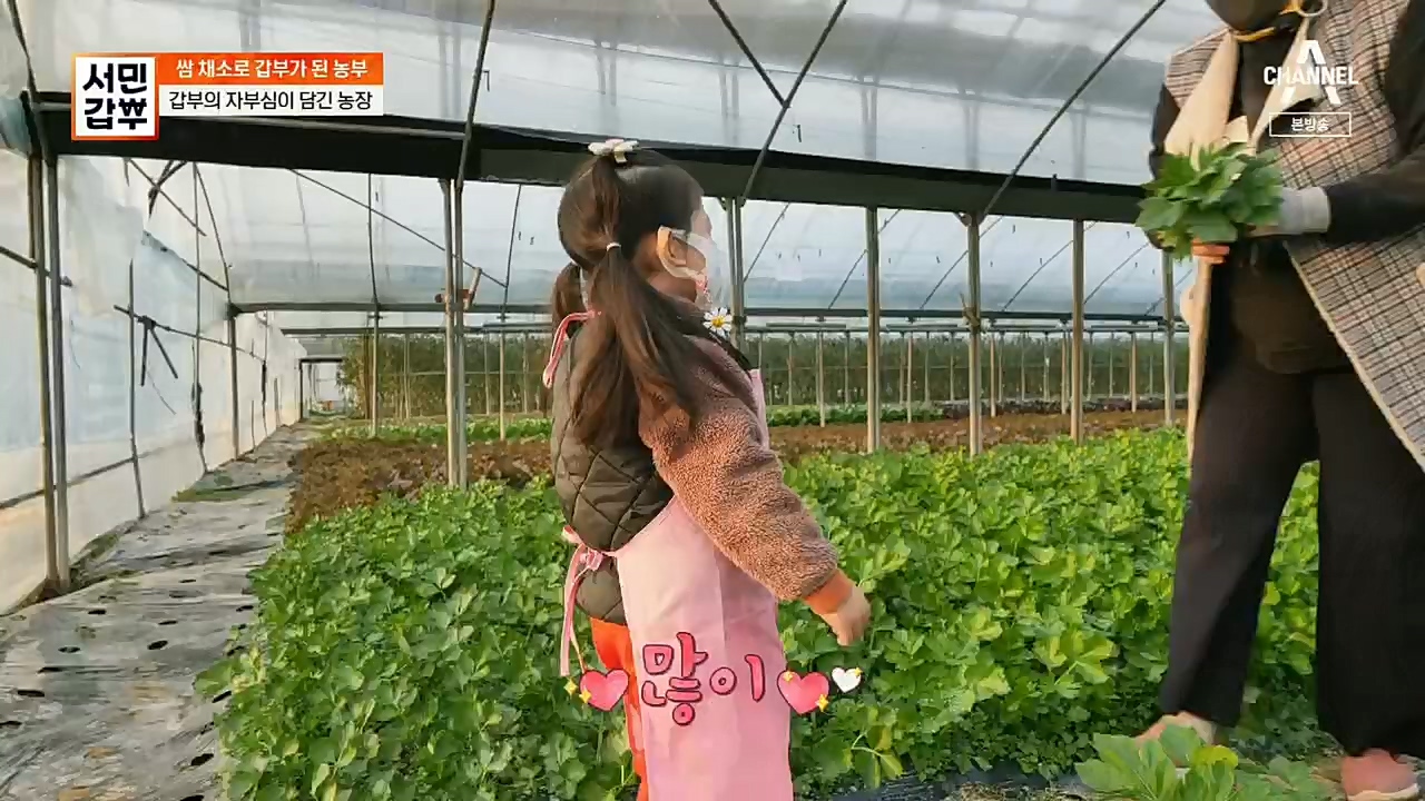 서민갑부.E415.221225p.H264-F1RST.mp4_20221226_195814.791.jpg