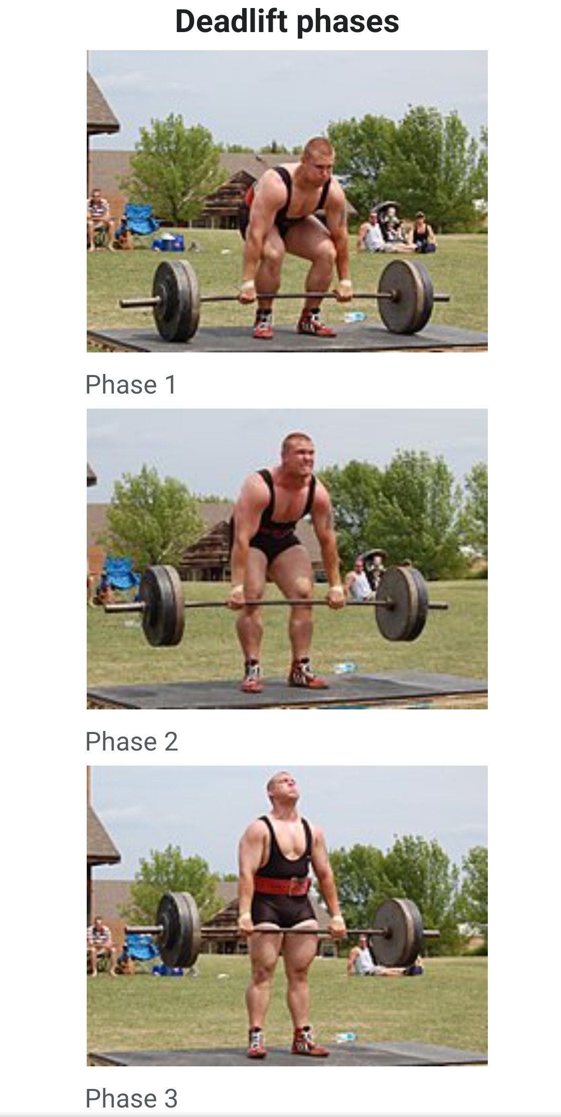  [데드리프트] 여러분은 물건를 몇 kg까지 들 수 있나 VIDEO: Krzysztof Wierzbicki Deadlift World record