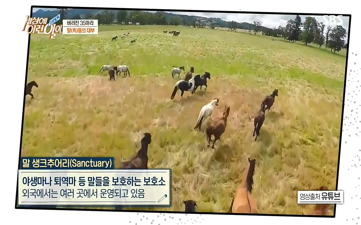 순간포착 세상에 이런일이.E1198.220920.H265p-BULDU.mp4_20220921_201036.828.jpg