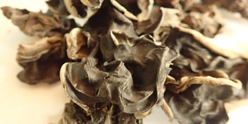 말린-목이버섯-확대사진