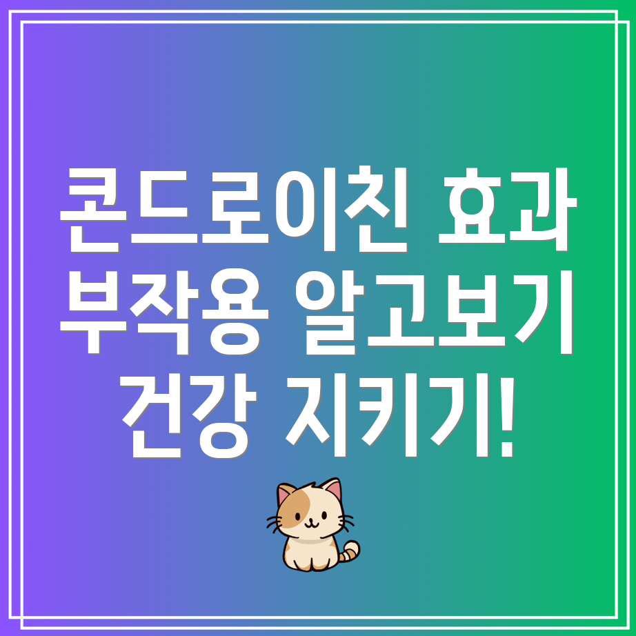 콘드로이친