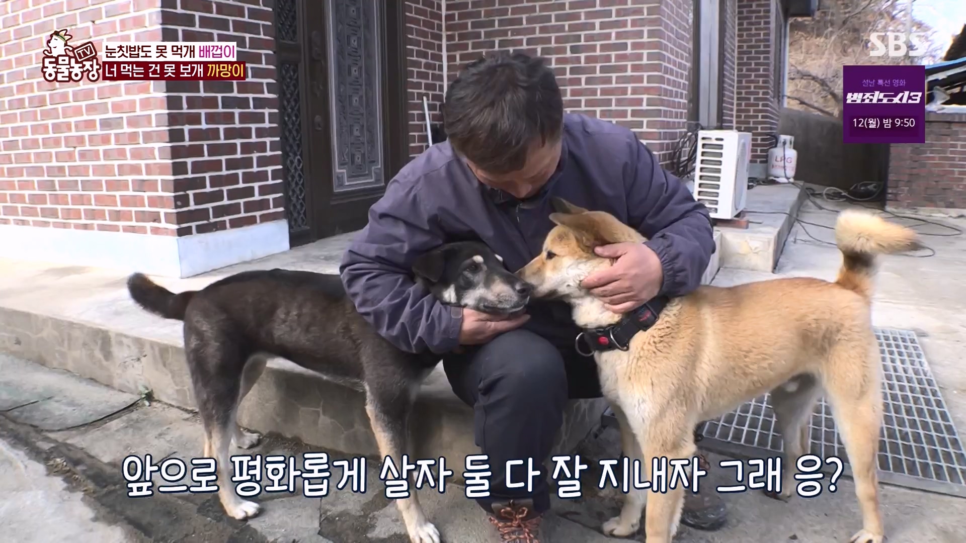 TV 동물농장.E1157.240204p-NEXT.mp4_20240204_172356.263.jpg