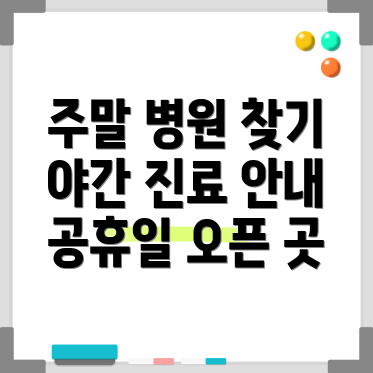 주말 진료 병원