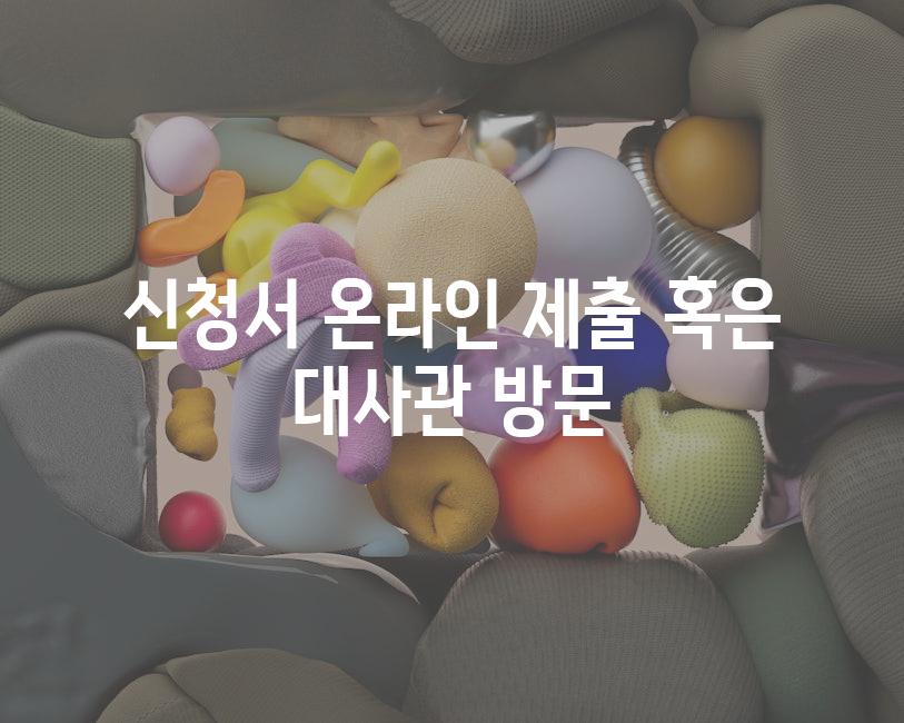 신청서 온라인 제출 혹은 대사관 방문
