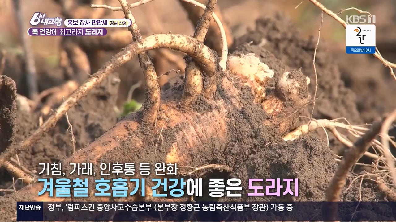 6시 내고향.E7922.231129p.H264-F1RST.mp4_20231129_201014.798.jpg