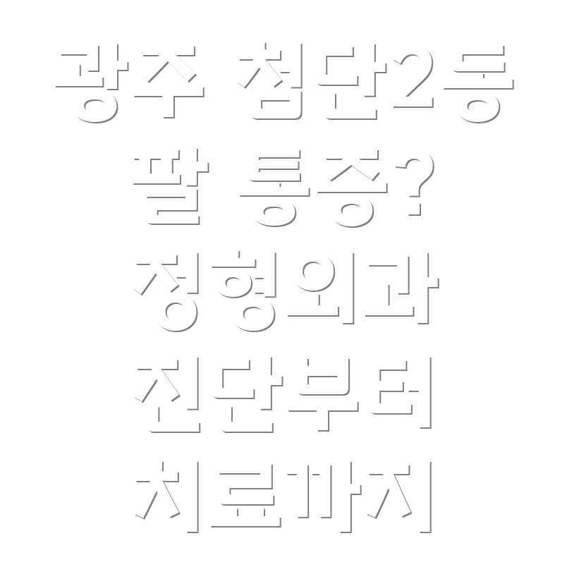 광주 첨단2동 정형외과