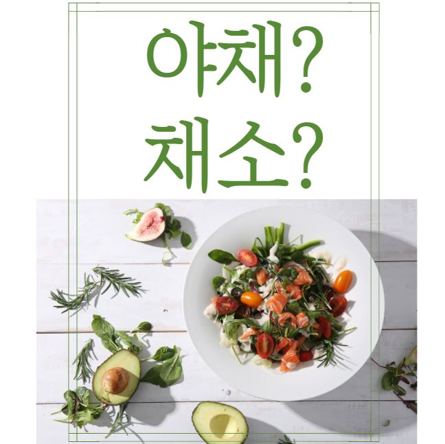  [맞춤법 바로알기] 야채 채소 올바른 표현법은!?