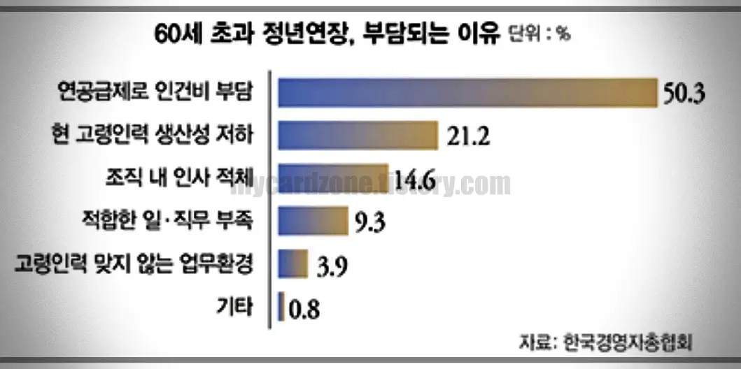 60세-초과-정년연장-부담되는-이유-설문