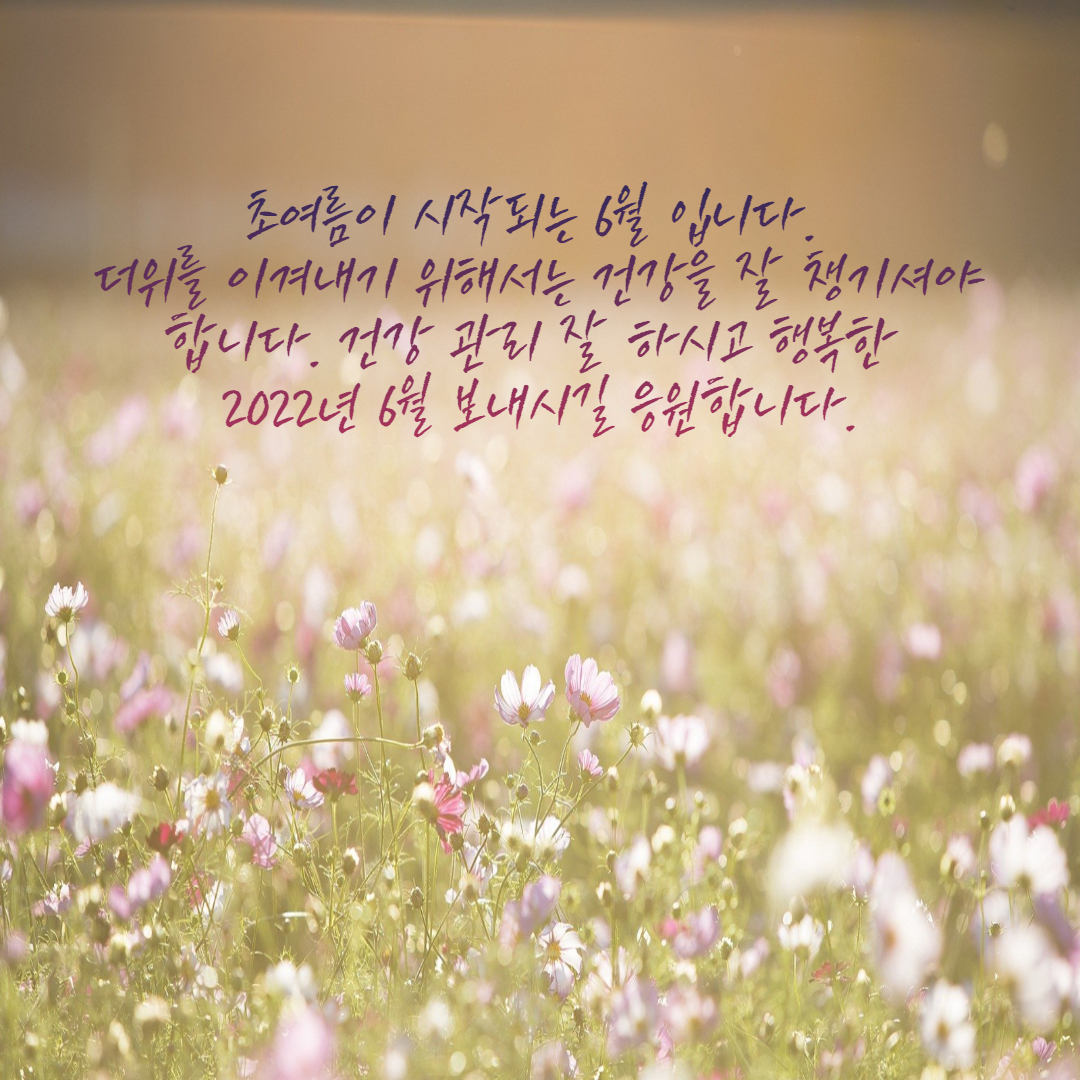  2022년 6월 인사말 이미지 및 문구, 메세지