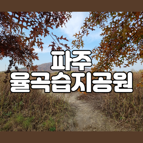  서울근교 아이랑 나들이하기 좋은 파주 율곡습지공원