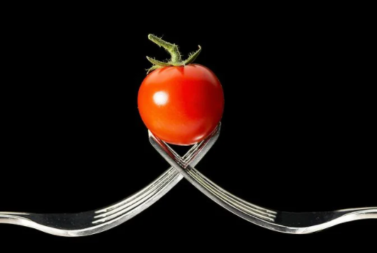  스테비아 토마토 효능
