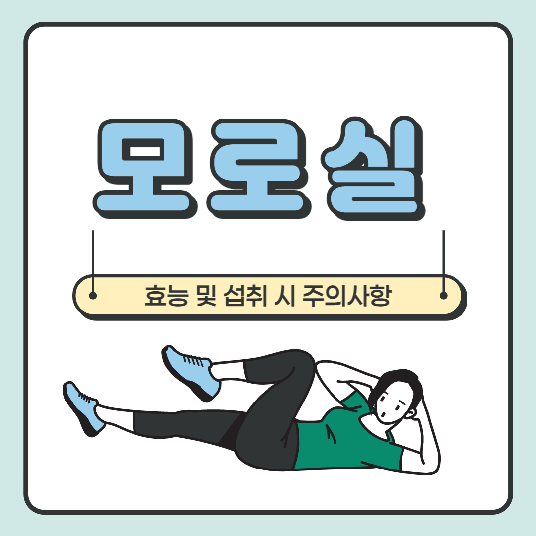 Morosil 주요 설명 이미지 촬영에 대한 이점 및 주의 사항