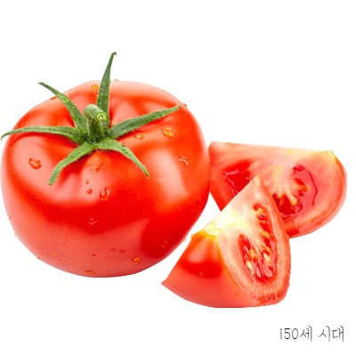 토마토-단면-사진