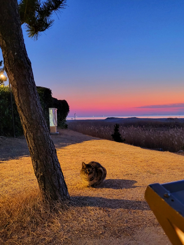 2022 부산 여행 2일차 12