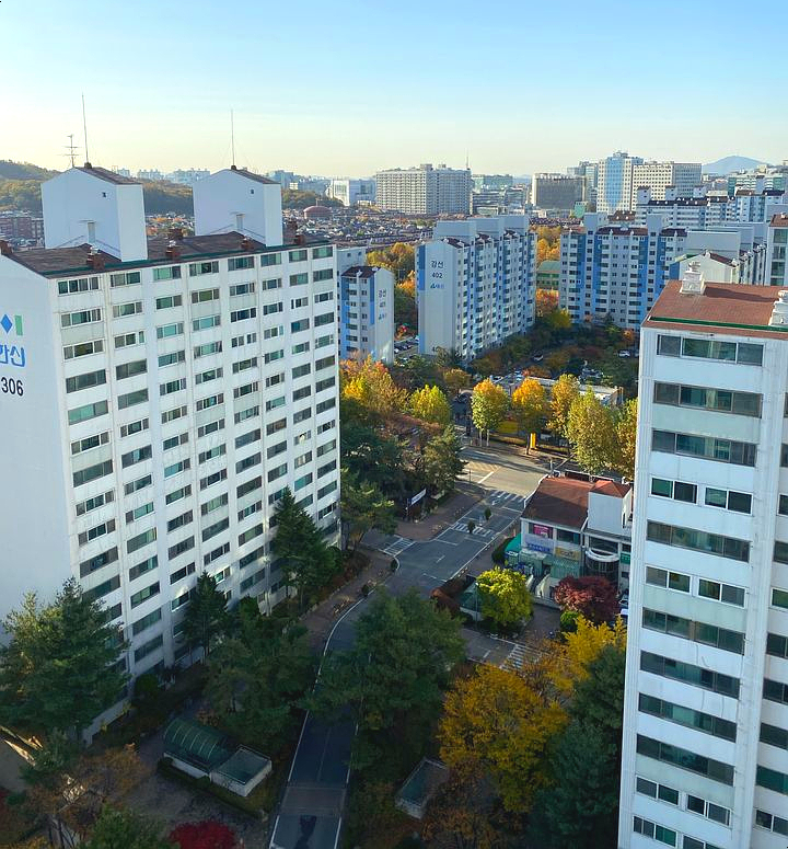 강선 이미지
