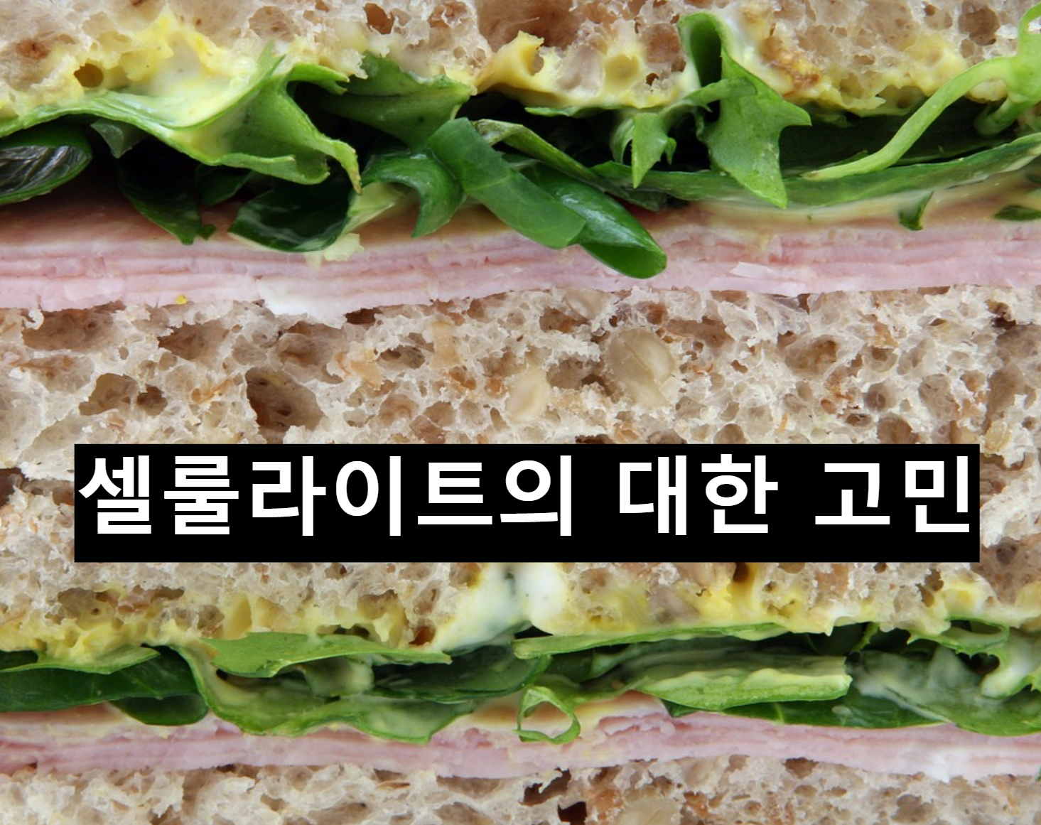  셀룰라이트의 대해서