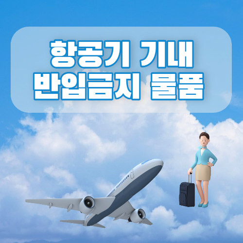 비행기 기내 반입금지 물품