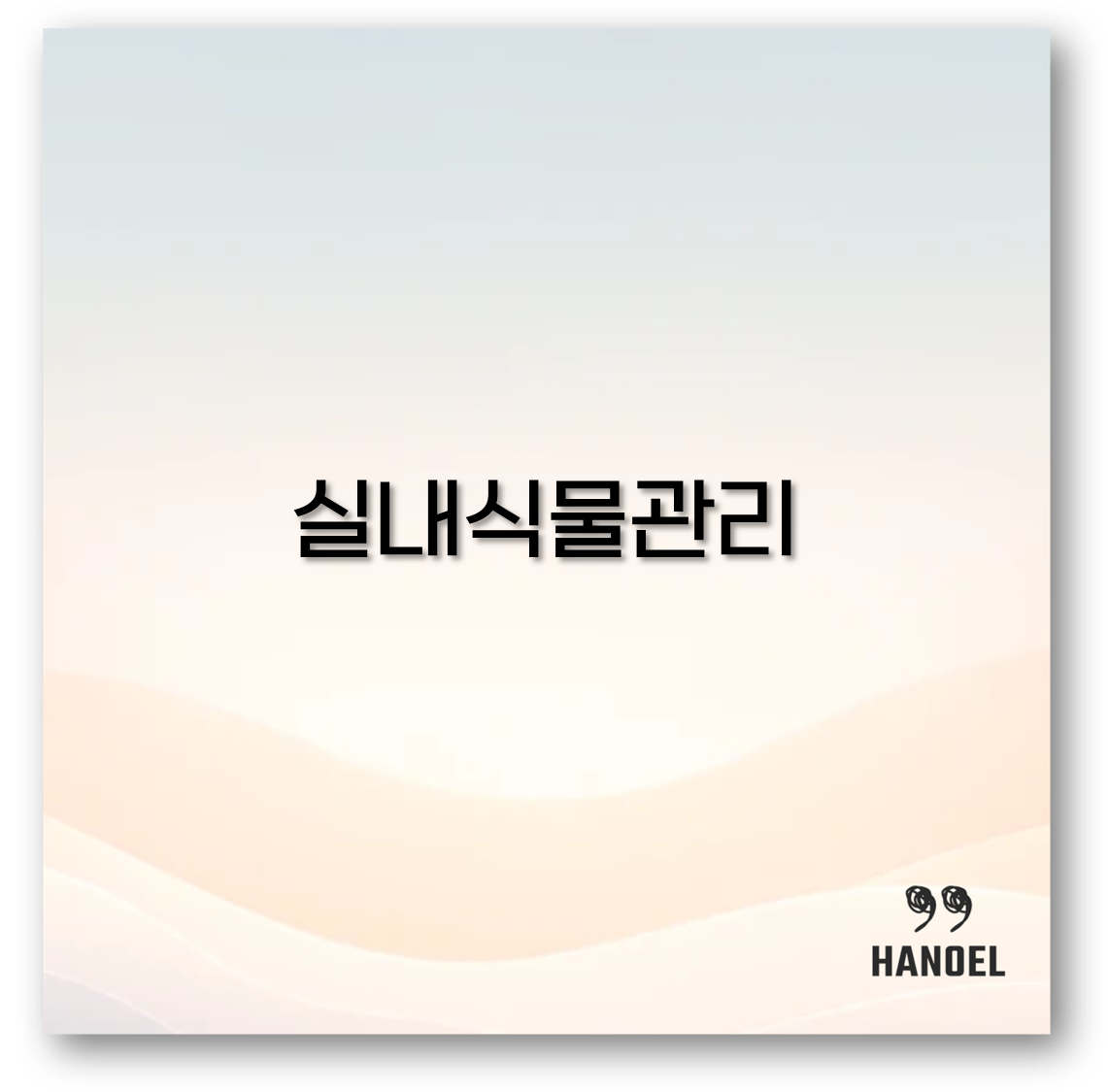 실내식물관리
