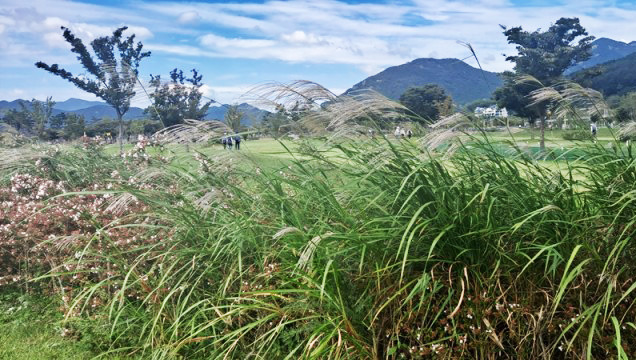 황산파크골프장 (황산공원) 경남 양산시 물금읍 증산리 903