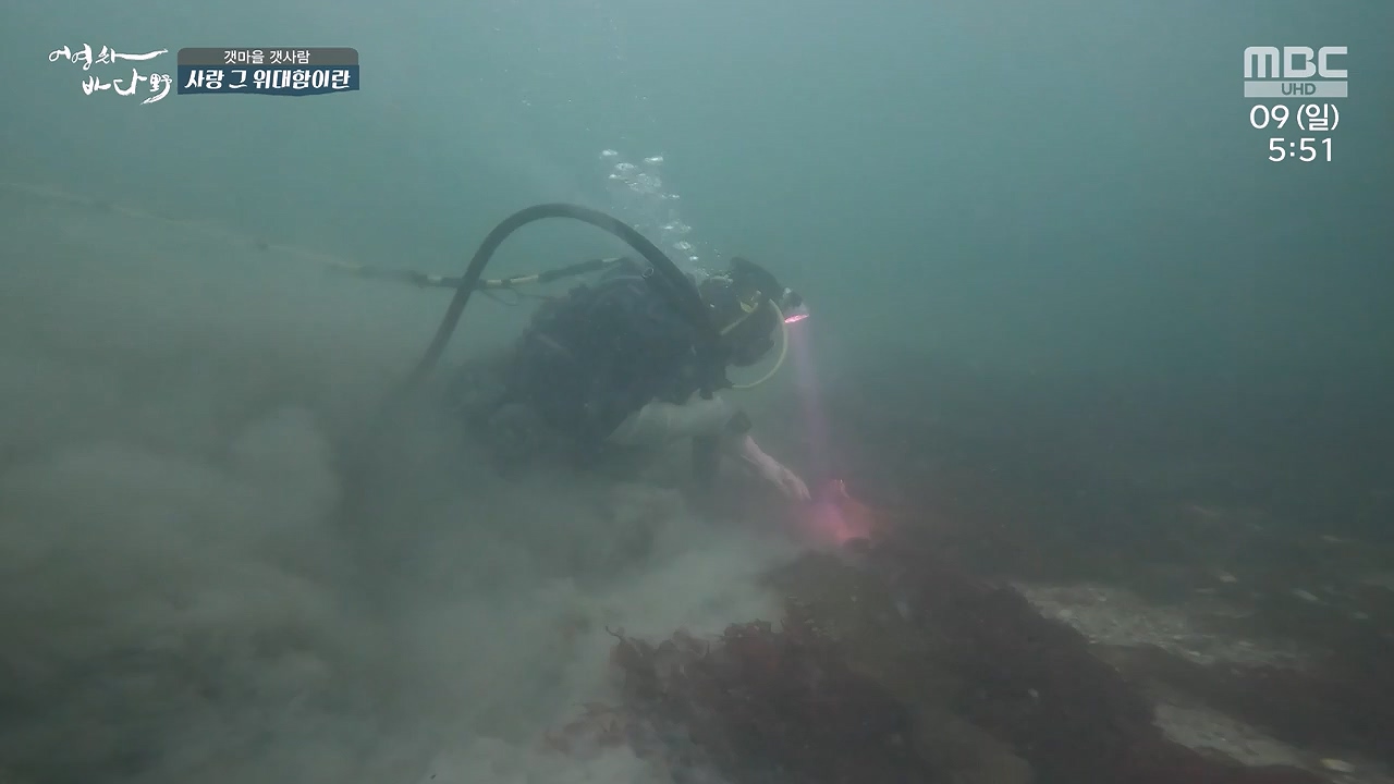 MBC 네트워크 특선 푸른백세 어영차 바다야.E1684.240610p-NEXT.mp4_20240611_203138.293.jpg