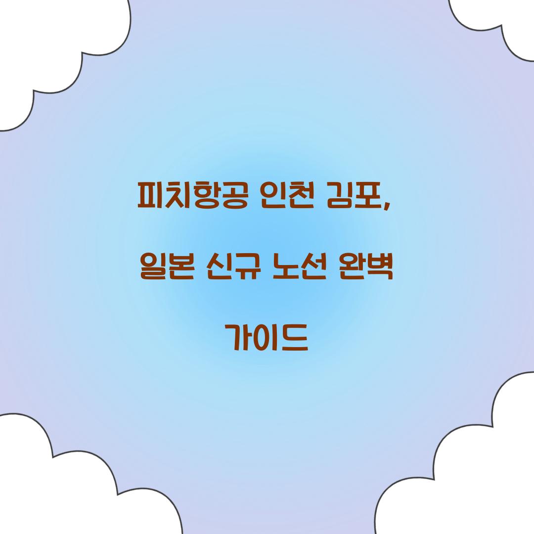 피치항공 인천 김포