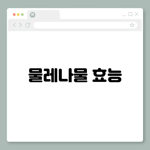 물레나물 효능, 부작용 및 먹는법