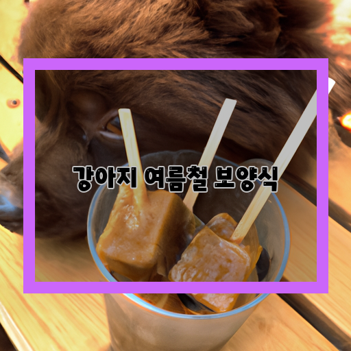  [강아지 보양식] 더위를 이겨내는 건강한 여름 먹거리!
