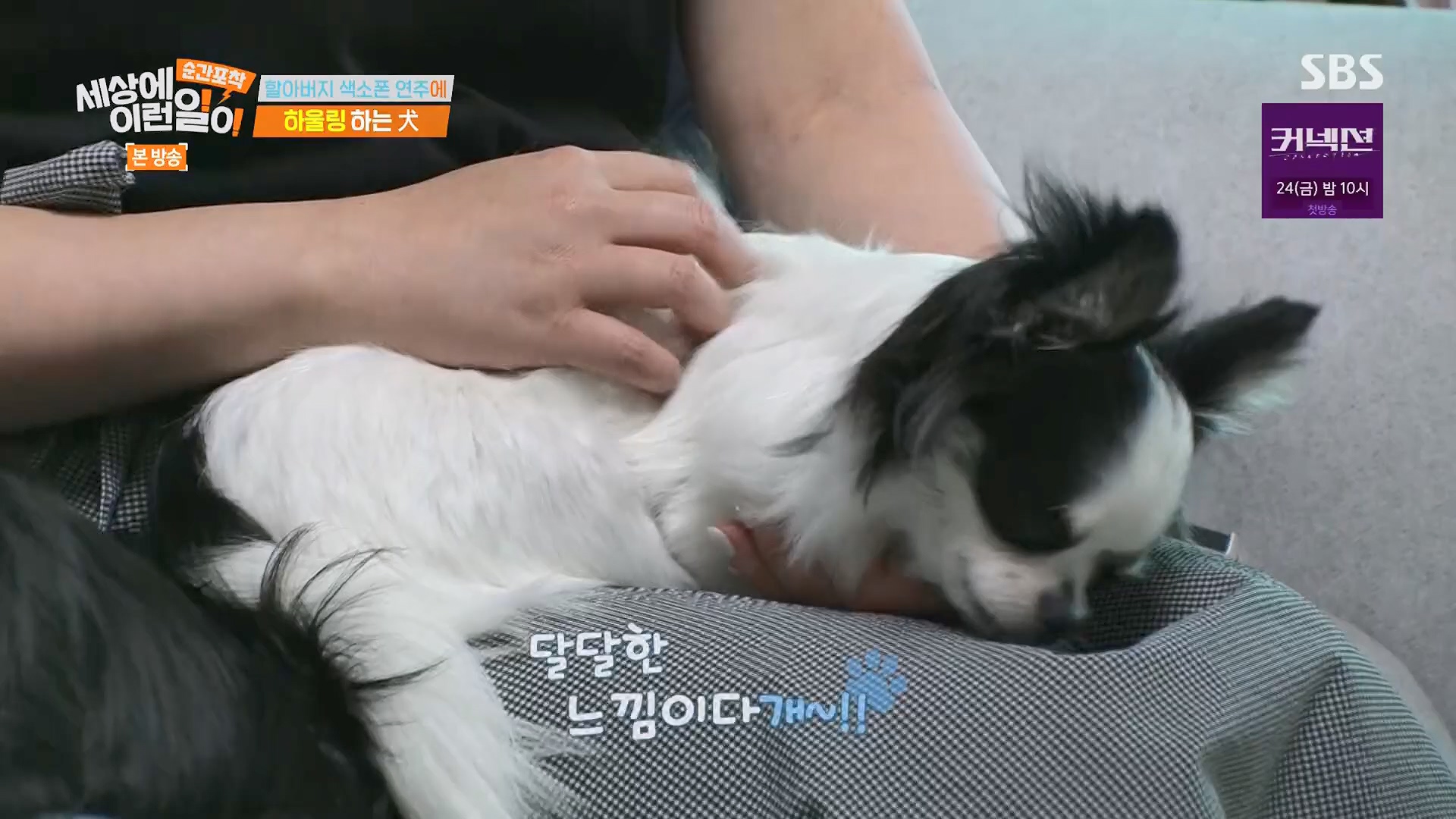 순간포착 세상에 이런일이.E1278.240518p.H264-F1RST.mp4_20240519_155527.922.jpg