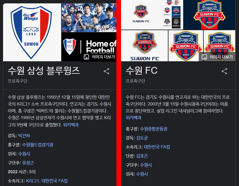  수원 삼성 팬 폭행 사건 정리