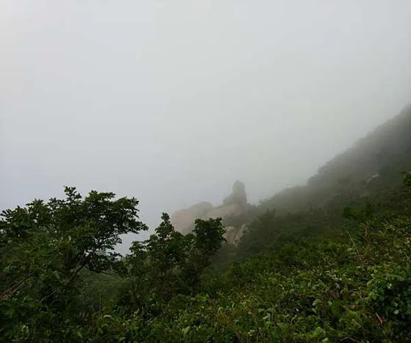 신선대
